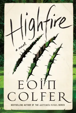 highfire book cover image