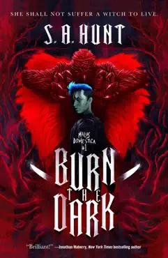 burn the dark book cover image