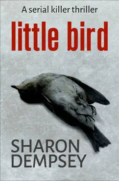 little bird book cover image