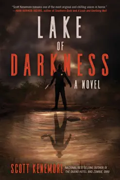 lake of darkness book cover image