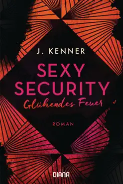 sexy security book cover image