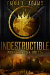 Indestructible synopsis, comments
