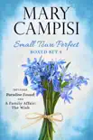 Small Town Perfect Boxed Set 4 sinopsis y comentarios