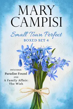 small town perfect boxed set 4 book cover image