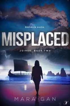 misplaced book cover image