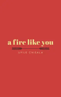 a fire like you book cover image