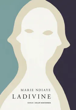 ladivine book cover image