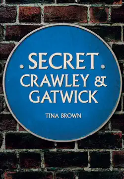 secret crawley and gatwick book cover image