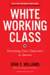 White Working Class, With a New Foreword by Mark Cuban and a New Preface by the Author synopsis, comments