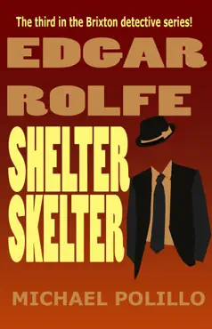 shelter skelter book cover image