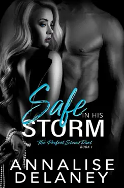 safe in his storm book cover image