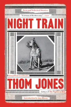 night train book cover image