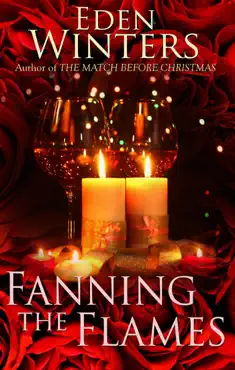 fanning the flames book cover image