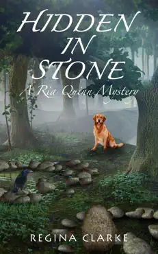 hidden in stone book cover image