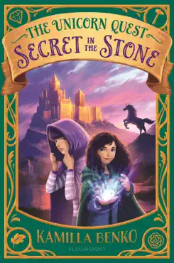 secret in the stone book cover image