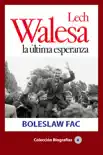 Lech Walesa, la última esperanza sinopsis y comentarios