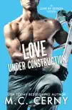Love Under Construction synopsis, comments