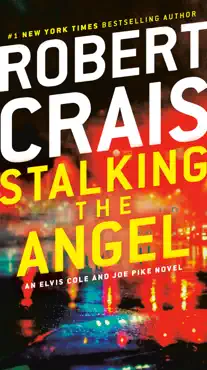 stalking the angel book cover image