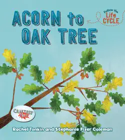 acorn to oak tree book cover image