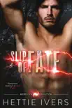 Slip of Fate synopsis, comments