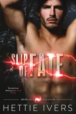 slip of fate book cover image
