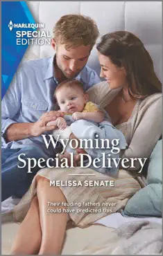 wyoming special delivery book cover image