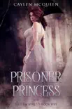 Prisoner Princess synopsis, comments