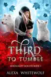 Third to Tumble synopsis, comments