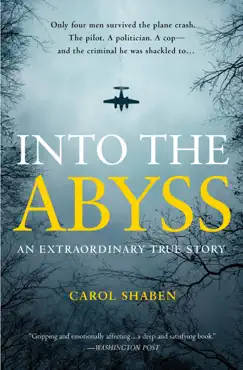 into the abyss book cover image