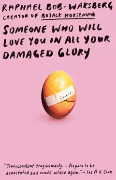 someone who will love you in all your damaged glory book cover image