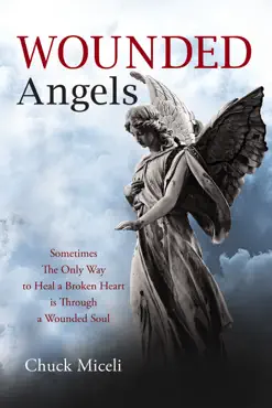 wounded angels book cover image