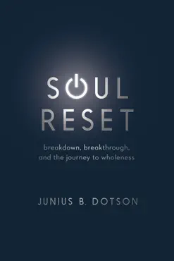 soul reset book cover image