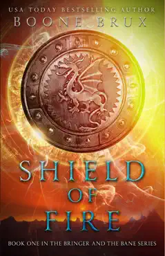 shield of fire book cover image