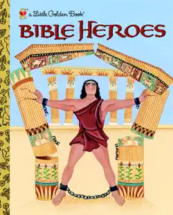 bible heroes book cover image