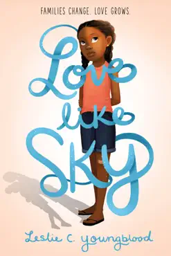 love like sky book cover image