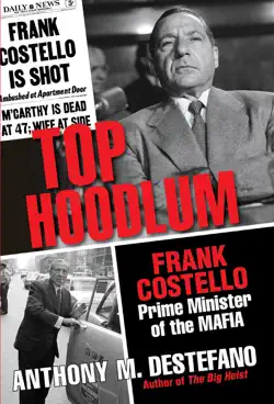 top hoodlum book cover image