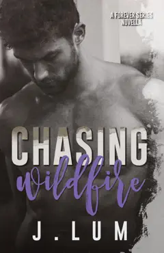 chasing wildfire book cover image