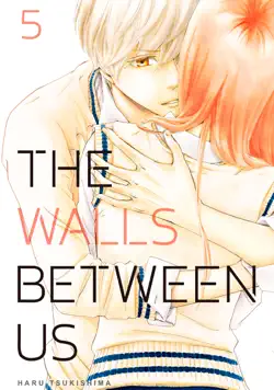 the walls between us volume 5 book cover image