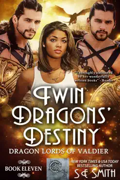twin dragons' destiny book cover image