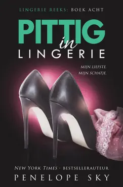 pittig in lingerie book cover image