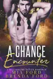A Chance Encounter synopsis, comments