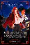 The Crimson Mage and the Dark Necromancer synopsis, comments
