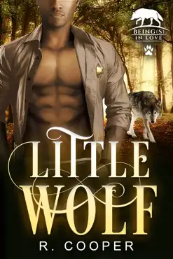 little wolf book cover image