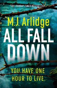 all fall down book cover image