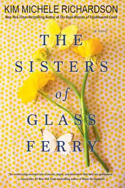 the sisters of glass ferry book cover image