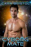 Cyborg Mate synopsis, comments