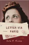 Letter Via Paris synopsis, comments