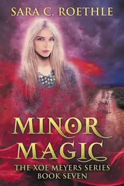 minor magic book cover image