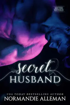 secret husband book cover image