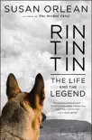 Rin Tin Tin Enhanced synopsis, comments
